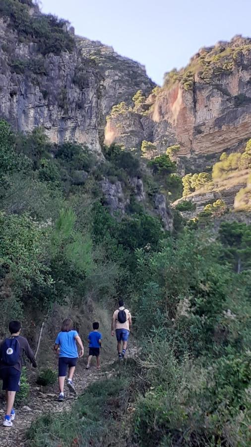 Les Moreres Gandía Exterior foto